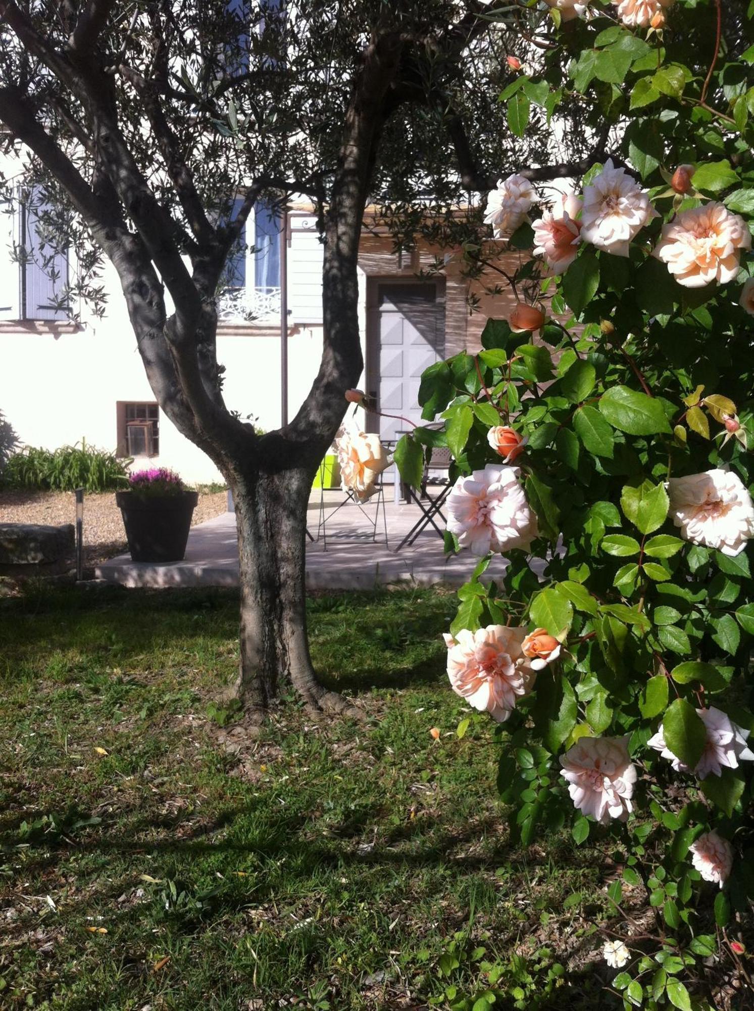 Le Jas Vieux Montfort (Alpes-de-Haute-Provence)